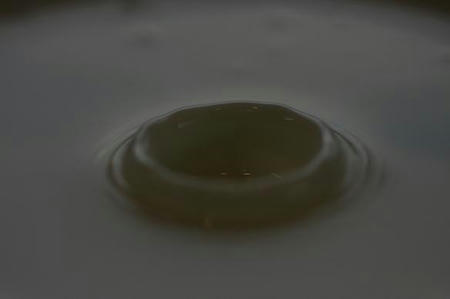 IMG_4113milk.JPG