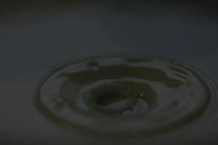 IMG_4530milk.JPG