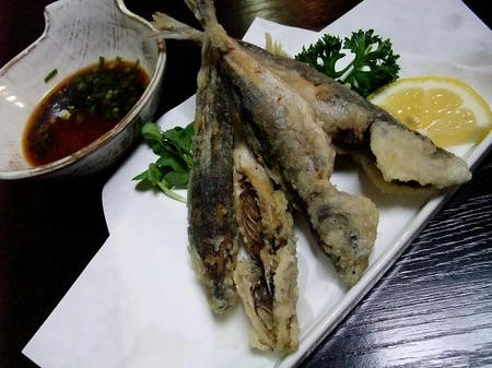 2009_0409yamaokaya0010.JPG