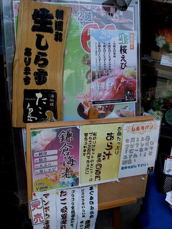 生桜海老入荷