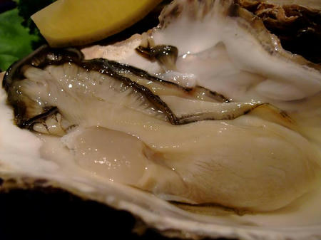 光駕 三陸生牡蠣