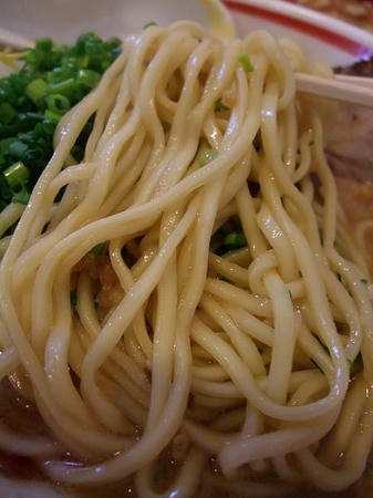 光☆MENJI 中太麺