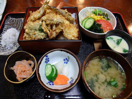 樹 天重