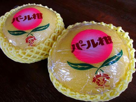 パール柑