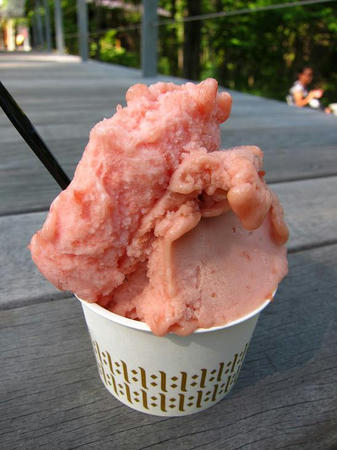 ハルニレテラス Pure Milk Gelato NAGAI FARM