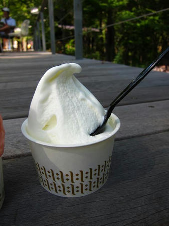 ハルニレテラス Pure Milk Gelato NAGAI FARM