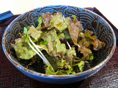 蕎麦処 鏑屋響 サラダ