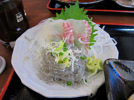 めしや 大磯港　生シラス・スズキ刺