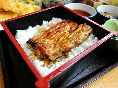 桑野屋 半上うな重