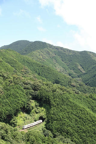 20100718_IMG_5191_1024.JPG