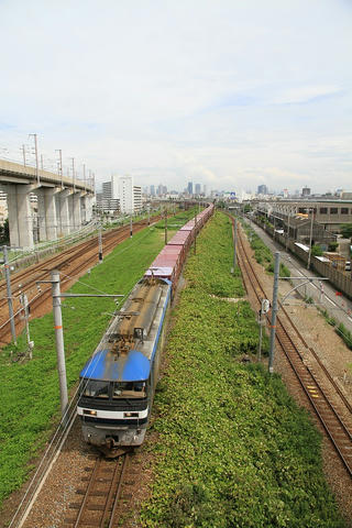 20100715_IMG_5075_1024.JPG
