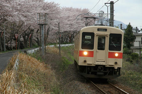20100407_IMG_1880_1024.JPG
