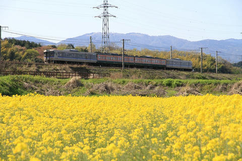 20100425_IMG_2380_1024.JPG