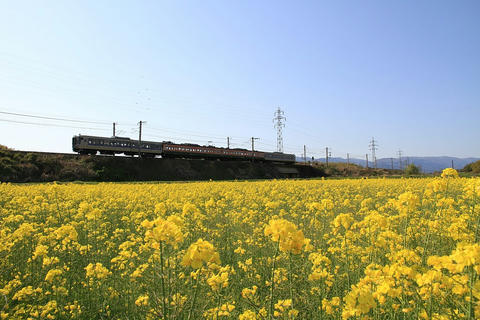 20100425_IMG_2398_1024.JPG