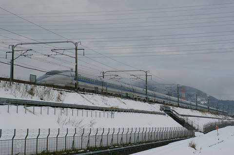20100109_IMGP8035_1024.JPG