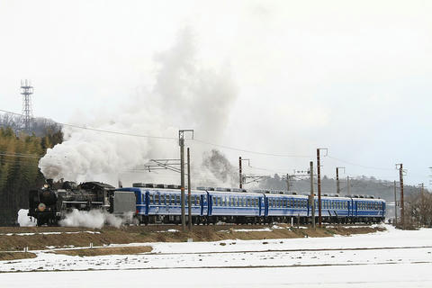 20110213_IMG_2288_1024.JPG