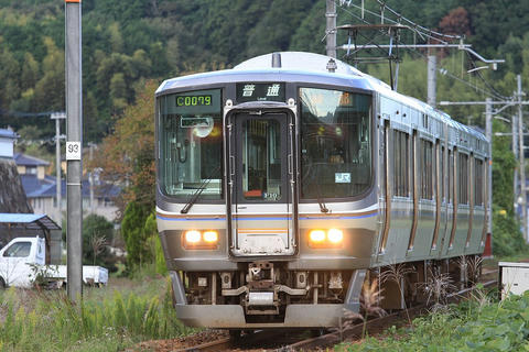 20101010_IMG_8696_1024.JPG