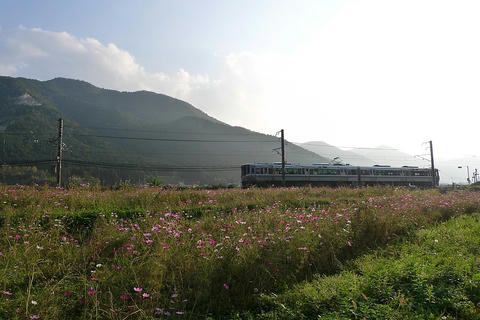 20091025_p1010691_1024.jpg
