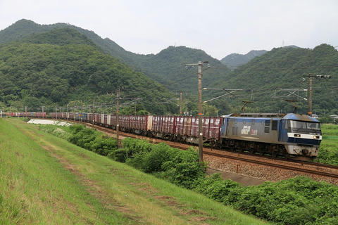 20110702_IMG_5255_1024.JPG