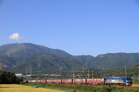 20100904_img_7483_1024.jpg