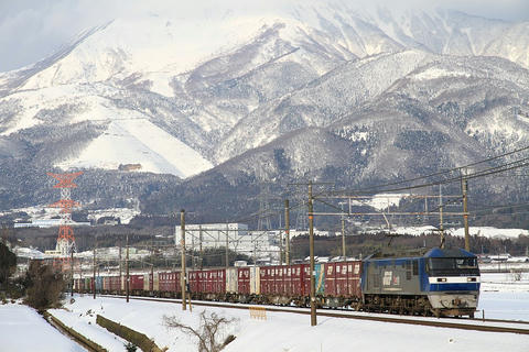 20110129_img_1665_1024.jpg