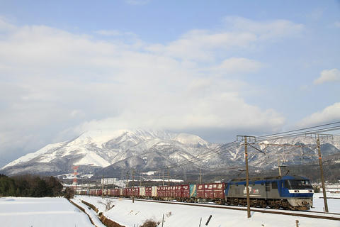 20110129_img_1668_1024.jpg