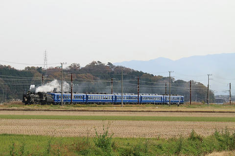 20111127_img_8252_1024.jpg