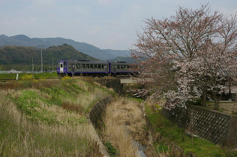 20090405_imgp5164_1024.jpg