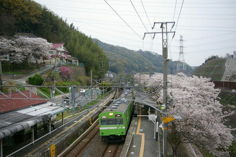 20070408_imgp4017_1280.jpg