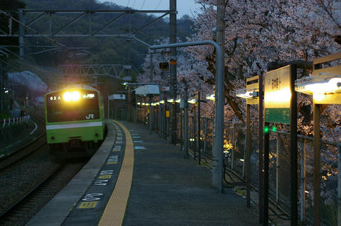 20080405_imgp9290_1280.jpg