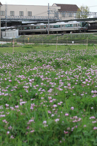 20110424_img_3949_1280.jpg