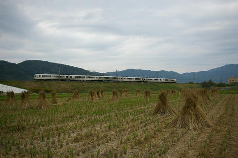 20061028_imgp1826_1280.jpg
