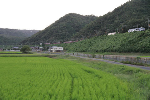 20120826_img_3436_1280.jpg