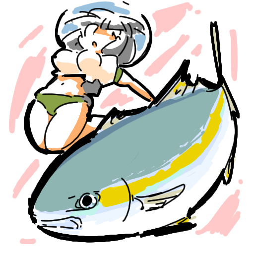 bloomers ブルマ Japanese amberjack