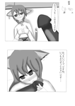 saop3.png