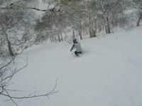 20122901.jpg