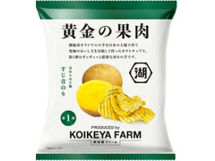 湖池屋 KOIKEYA FARM 黄金の果肉 青のりの王様 すじ青のり