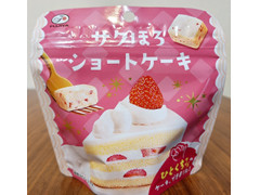 不二家 サクほろショートケーキ