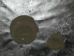 3514d2cf.JPG