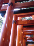 千本鳥居。