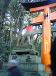 千本鳥居。
