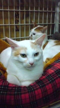 なんだか意味深？