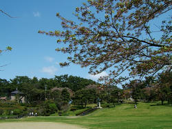 日和山