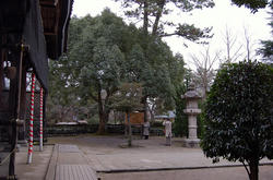 老夫婦