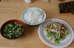 今日の昼ごはん