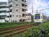 3_1053053.jpg