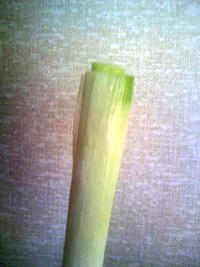 3_155655157.jpg