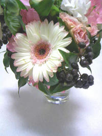 2_27193337.jpg