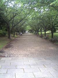 2-626174867.jpg