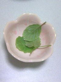2_59125837.jpg